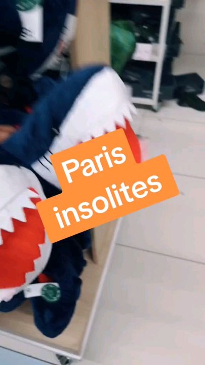 Je te fais visiter des boutiques insolites