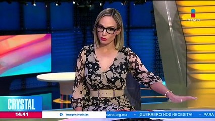 Detienen al policía que atropelló y mató a un perrito en el Edoméx