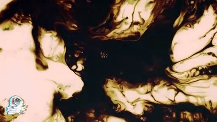 Todos Le Tienen Miedo A La Dama Susurrante (Relatos De Terror)