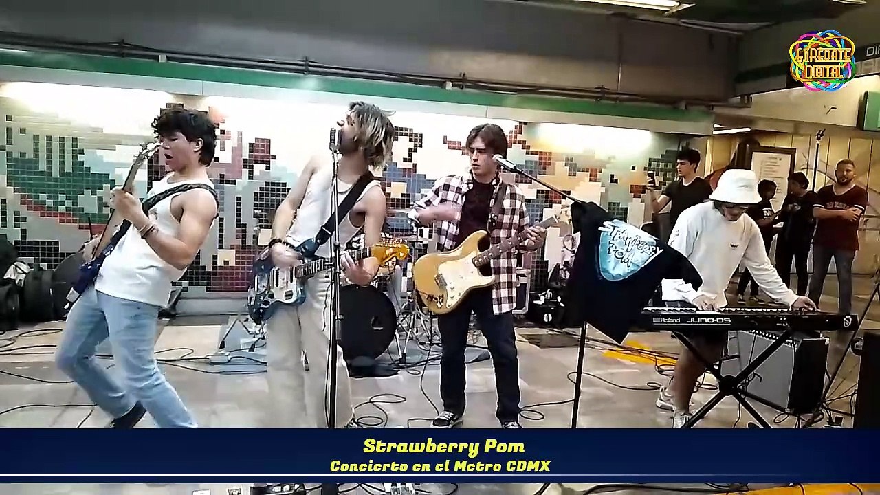 Strawberry Pom