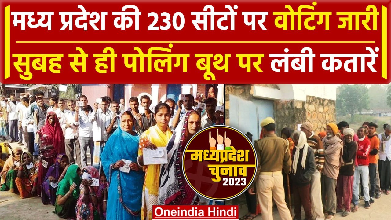 MP Election 2023 Voting: मध्य प्रदेश की 230 सीट...