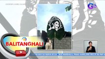 Giant Leaf Art ng mukha ni 2023 Miss Universe PHL Michelle Marquez Dee, pinusuan ng netizens | BT