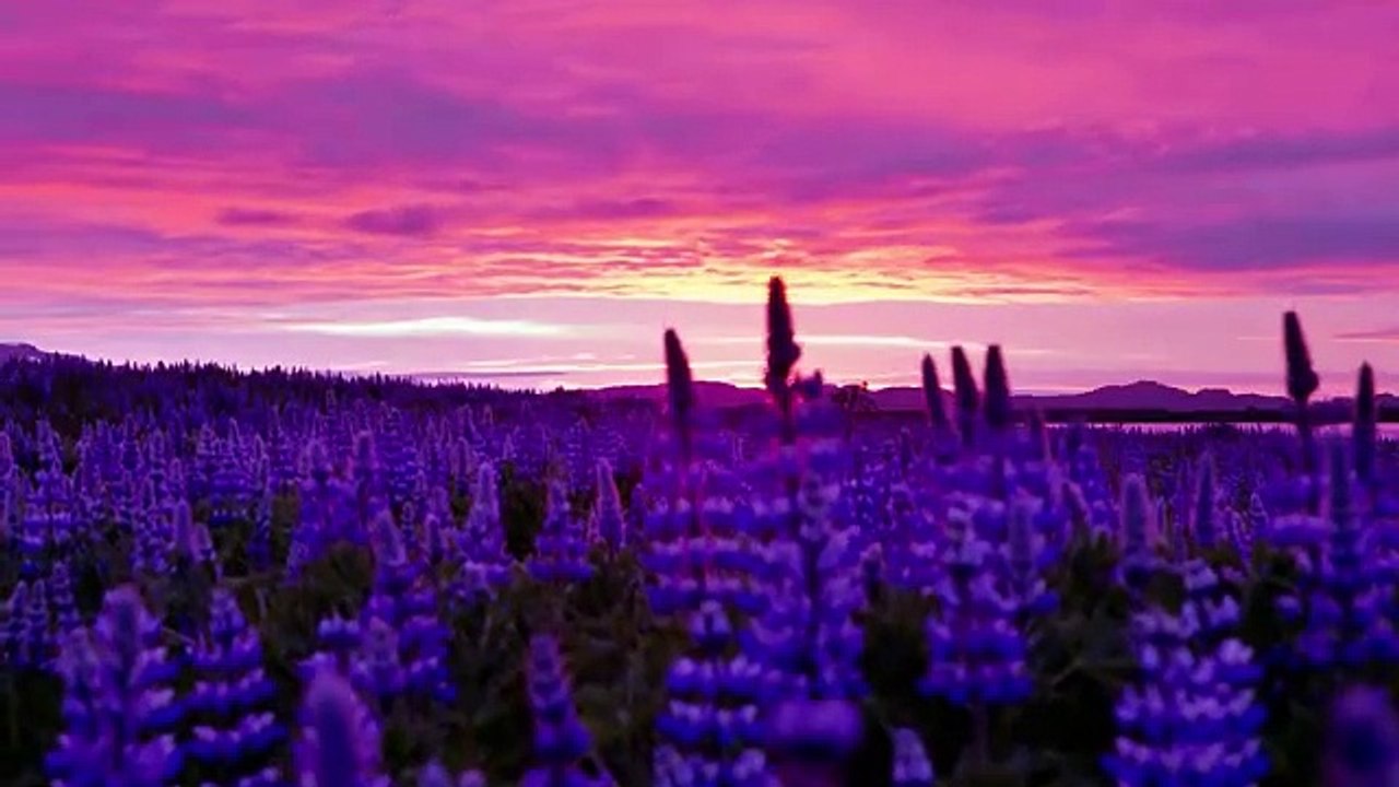 iceland