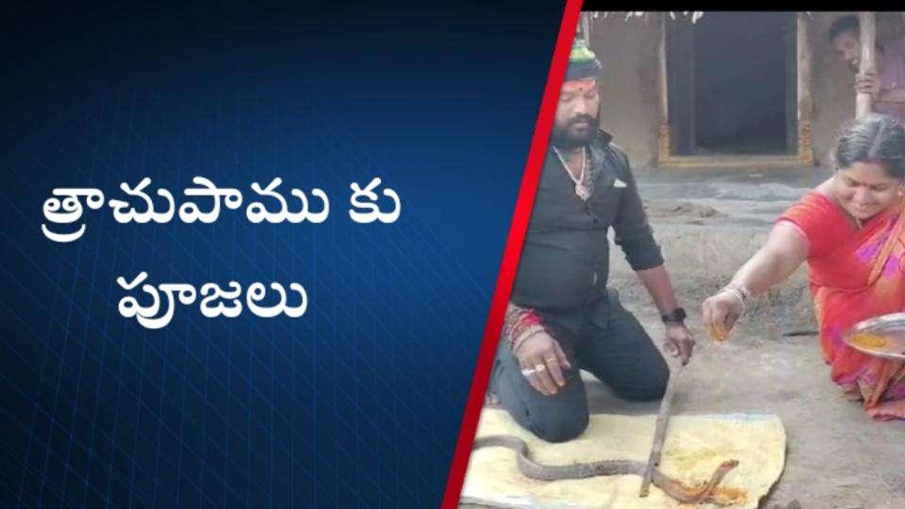 నాగుల చవితి రోజు ఇంట్లోకి వచ్చిన పాము... పట్టుకుని పూజలు చేసిన స్థానికులు