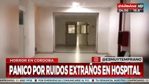 Pánico en el Hospital: ¿apareció 