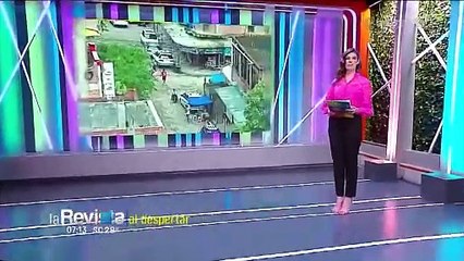 El “bull terrier” atacó a la niña en su habitación; la Policía dice que no “arrestó” al perro y cita al dueño