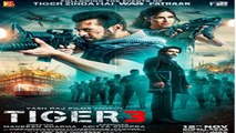 TIGER 3 DAY 5 BOX OFFICE COLLECTION | 5TH DAY COLLECTION | SALMAN KHAN | Nabin Reel Reviews
