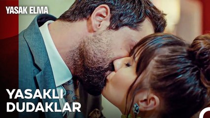 Bir Günah Gibi İşledim Seni - Yasak Elma 17. Bölüm