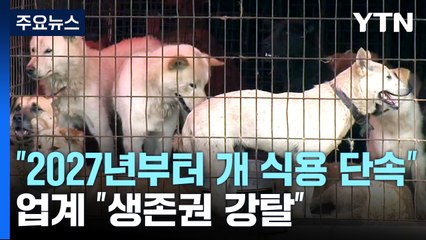 당정 "2027년부터 개 식용 단속"...업계 "생존권 강탈" / YTN