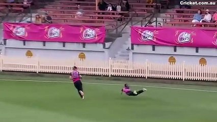 Sydney Sixers star Erin Burns snares a classic catch