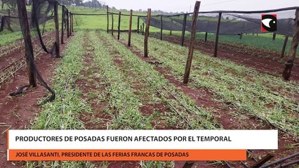 Productores de posadas fueron afectados por el temporal