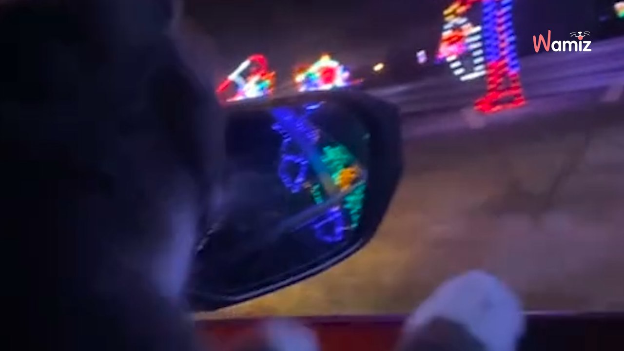 Elle offre un moment magique à son chat borgne : 9M d’internautes tombent sous le charme