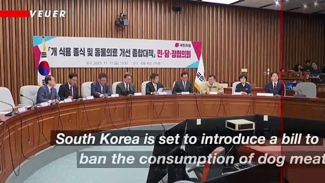 South Korea Proposes Ban on Dog Meat Consumption Amid Animal Rights Concerns