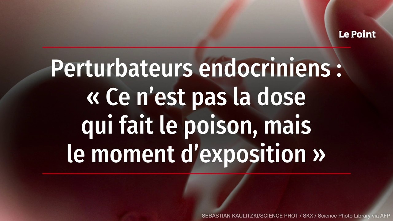 Perturbateur endocrinien : « Ce n’est pas la dose qui fait le poison, mais le moment d’exposition »