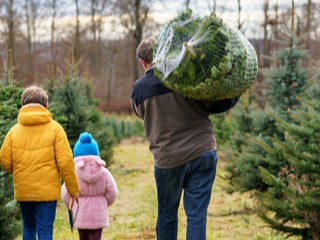 So teuer wird das Weihnachtsfest in diesem Jahr