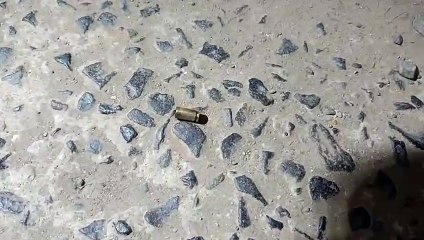 वोटिंग खत्म होते ही भिड़े भाजपा-कांग्रेस नेता, फायरिंग की खबर