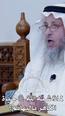 لماذا شبه الله تعالى حياة الكافر بالبهائم عثمان الخميس_1080p