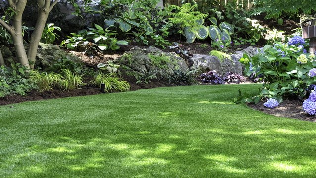The Best Time to Plant Grass Seed for a Greener Lawn
