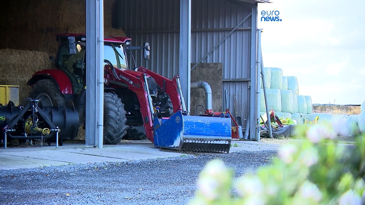 Unmut unter Bauern könnte zum Joker bei den Wahlen werden