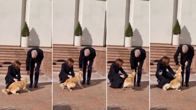 Moldova Cumhurbaşkanı’nın köpeği Codrut, Avusturya Devlet Başkanı’nın elini ısırdı