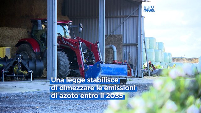 L'azoto irrompe nelle elezioni olandesi