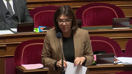 Budget de la Sécu : le Sénat renforce la lutte contre la fraude sociale