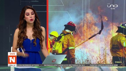 Repercusiones por la muerte de animales, lo califican como biocidio