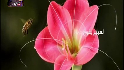 مسلسل أيام لا تنسى الحلقة الرابعة