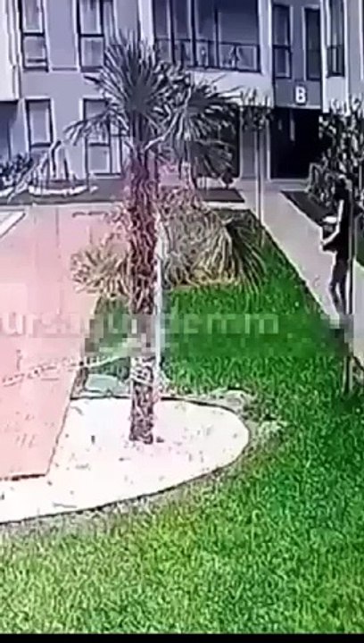 Un cargo est tombé dans la piscine d'un chantier de luxe