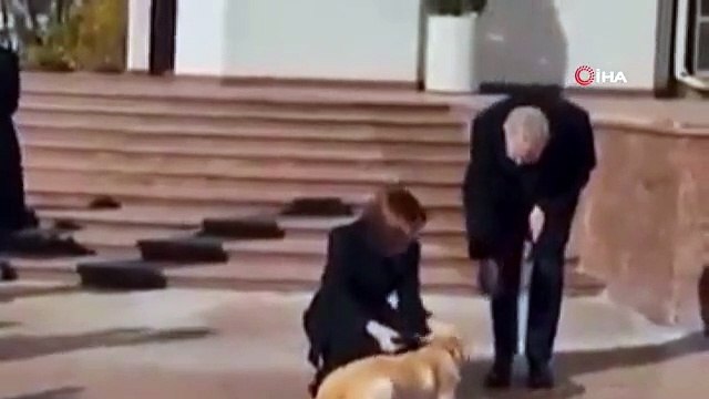 Moldova Cumhurbaşkanı Sandu'nun köpeği Avusturya Cumhurbaşkanı Bellen'in elini ısırdı