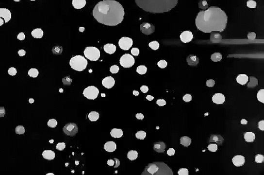 Frolicking Fish 1930