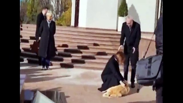 Moldova Cumhurbaşkanı'nın köpeği Avusturya Devlet Başkanı'nı ısırdı