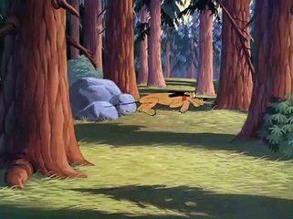 Pluto, Mickey Mouse - Plutopia  (1951)