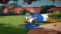 ᴴᴰ Pato Donald y Chip y Dale dibujos animados - Pluto, Mickey Mouse Episodios Completos Nuevo 2018-35