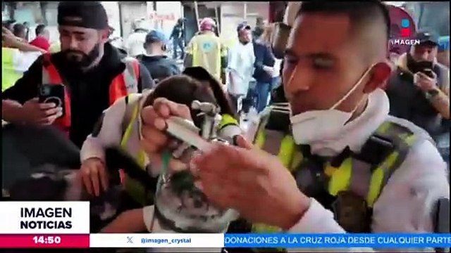 VIDEO: Rescatistas de CDMX dan primeros auxilios a un gatito