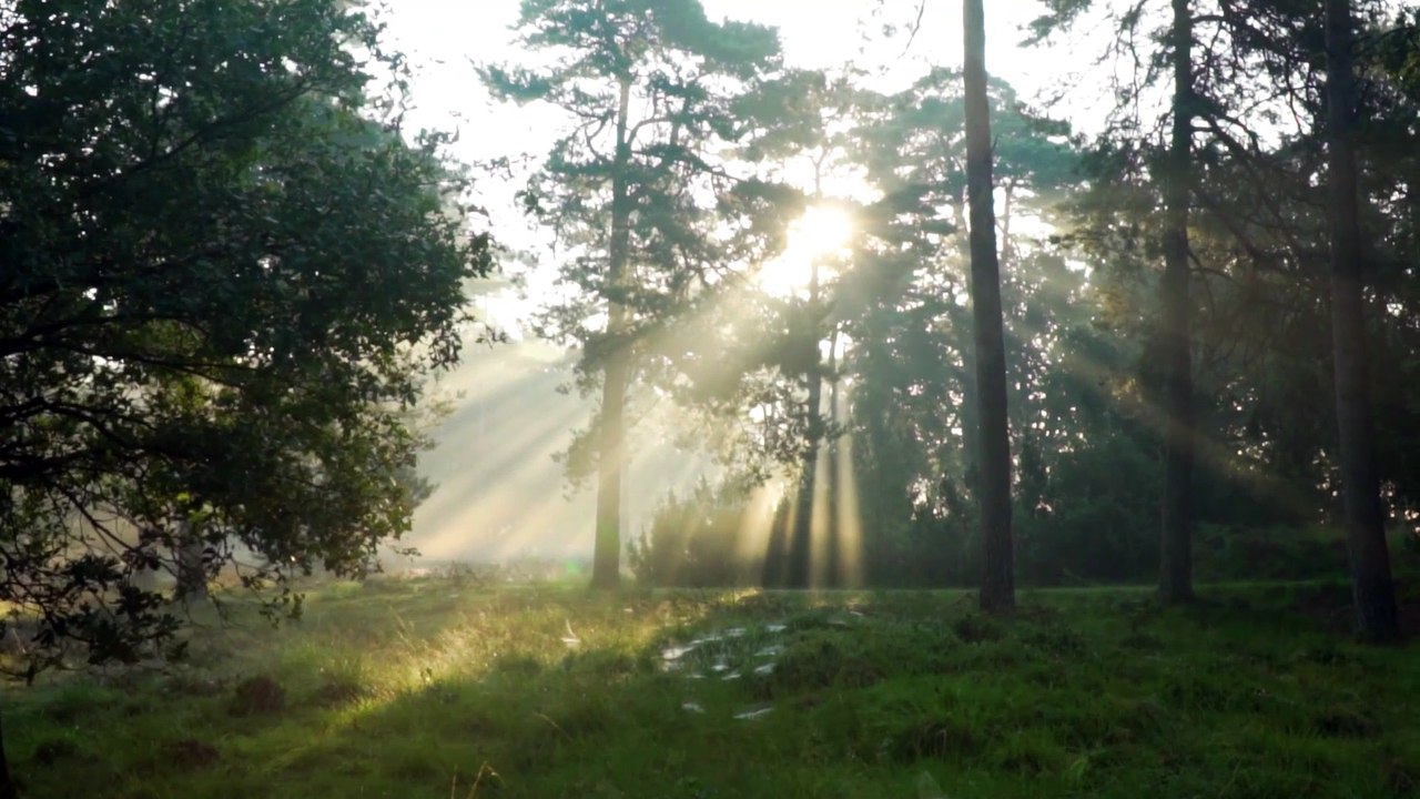 INVRAISEMBLANCES - Celtic morning