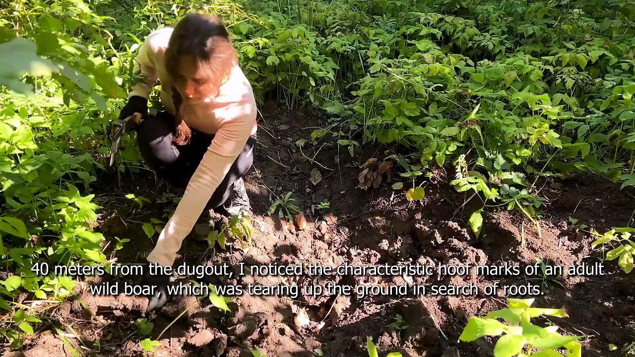 SOLO GIRL's bushcraft in a dugout & CAMP sauna and fishing ASMR