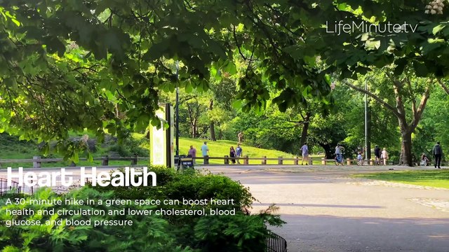 Take Your Health to New Heights by Hiking