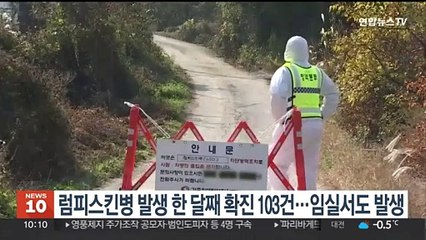 럼피스킨병 발생 한 달째 확진 103건…임실서도 발생