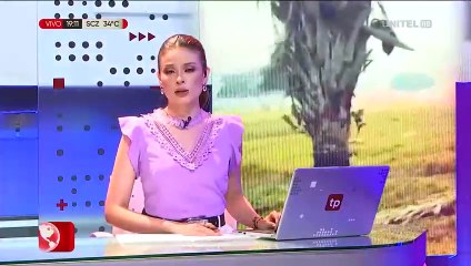 Viceministro de Defensa Civil se refiere a la situación de incendios