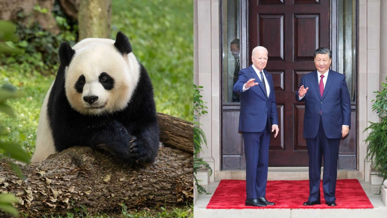 Select ¿Qué es la "diplomacia panda" entre China y Estados Unidos y por qué es tan importante?  ¿Qué es la "diplomacia panda" entre China y Estados Unidos y por qué es tan importante?