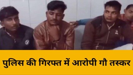भदोही: पुलिस को मिली बड़ी सफलता, दबोचे गए आठ गौ तस्कर