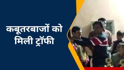 रामपुर : 12 घंटो की उड़ान वाले कबूतर को मिला पहला स्थान, दी गई ट्रॉफी