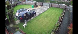 Dog Is Outsmarted By Owner