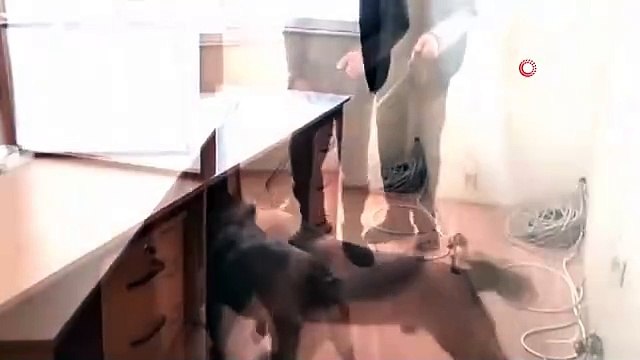 Gümrük Muhafaza ekiplerinin Mersin Limanı'nda gerçekleştirdiği operasyon sonucu 54 kilogram kokain ele geçirildi