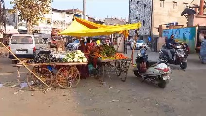 मटर अभी भी भोजन से दूर, भाव 100 रुपए किलो