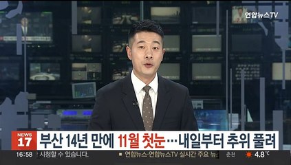 "우와! 부산에도 눈 내려요"…14년 만에 11월 첫눈
