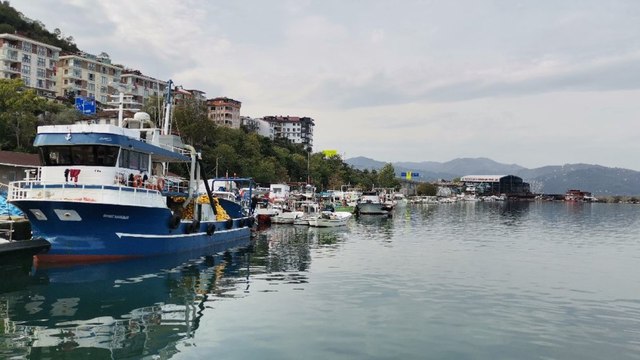 Karadeniz’de balık stokları azalıyor