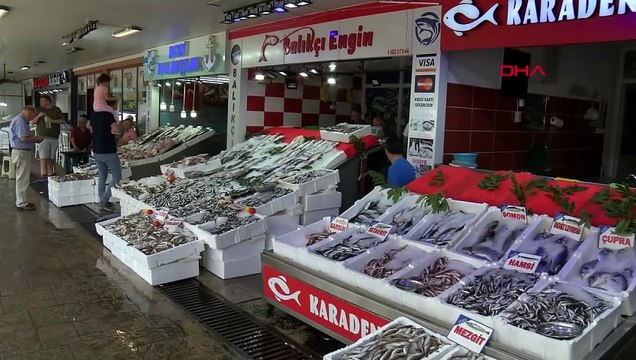 Karadeniz'de Balık Stoklarında Çöküş Yaşanıyor