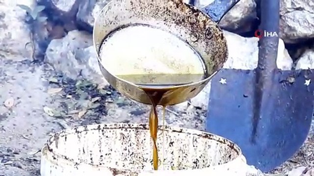 Binbir zahmetle üretilen defne yağının litresi 200 liradan satılıyor